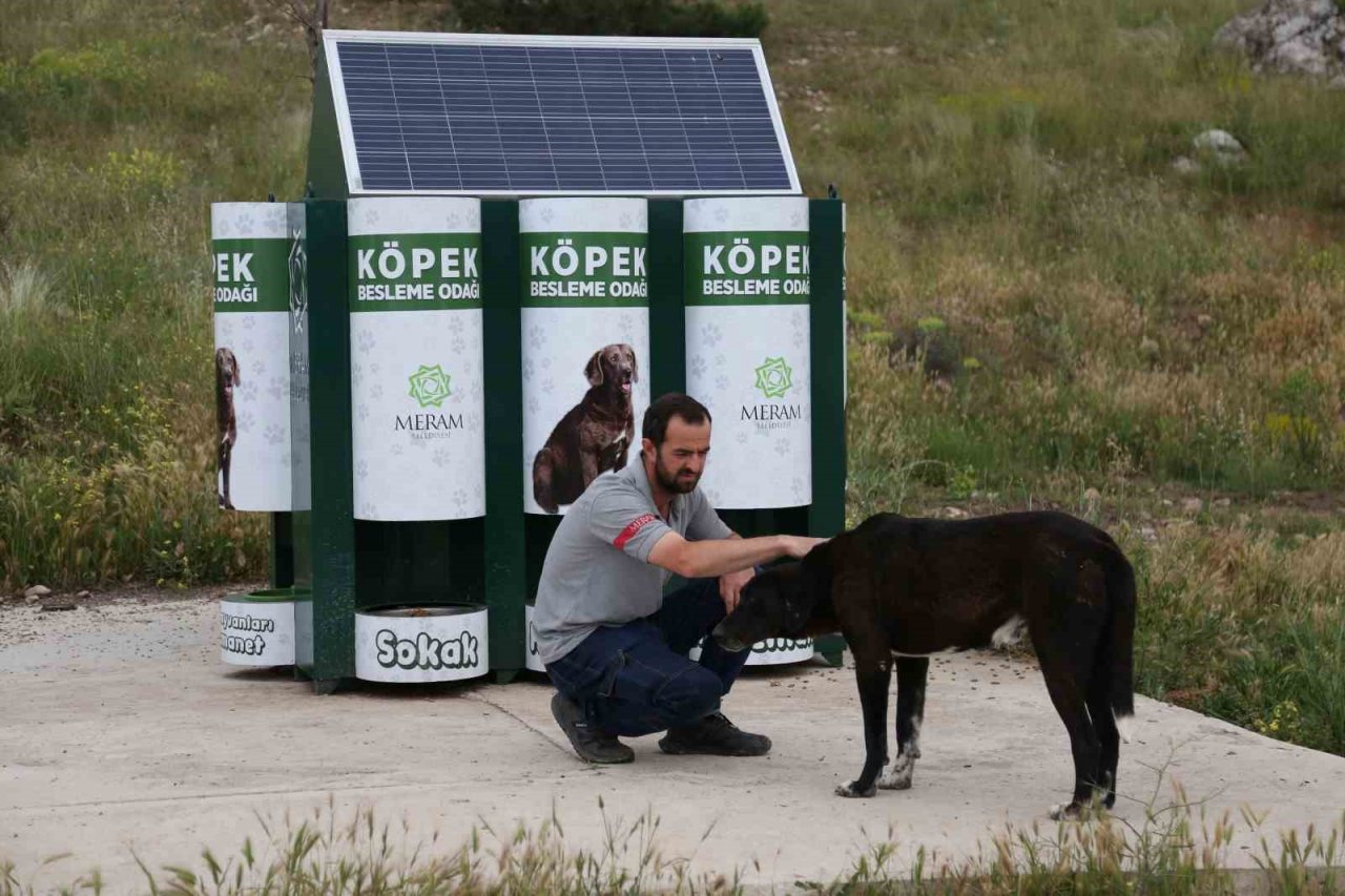 Meram’da sokak hayvanlarının mama kapları artık otomatik dolacak