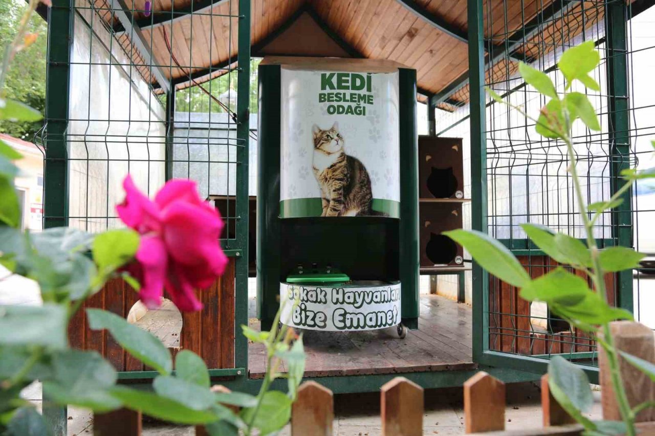 Meram’da sokak hayvanlarının mama kapları artık otomatik dolacak