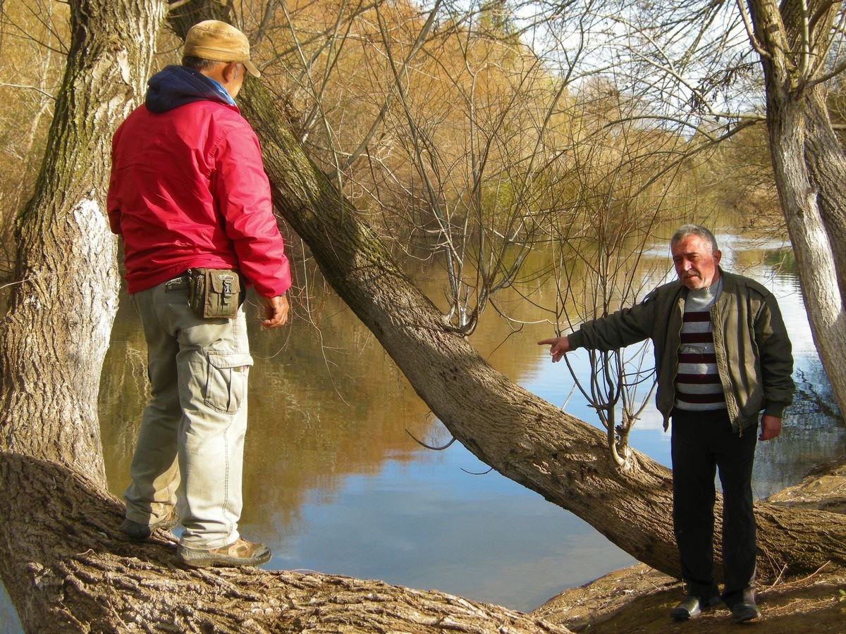 Aydın’da uzun yıllardır görünmeyen su samuru, ölü olarak bulundu
