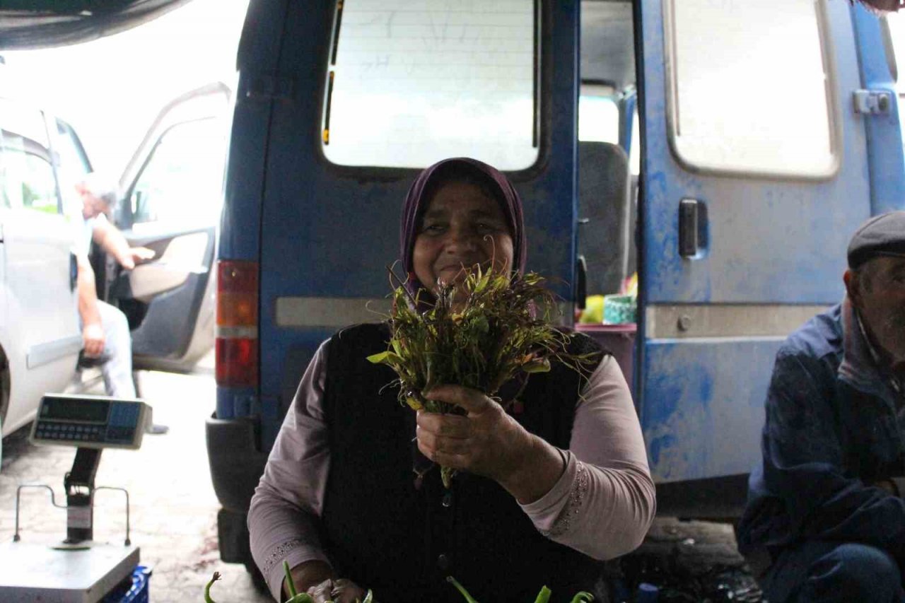Kırçan otu pazara indi