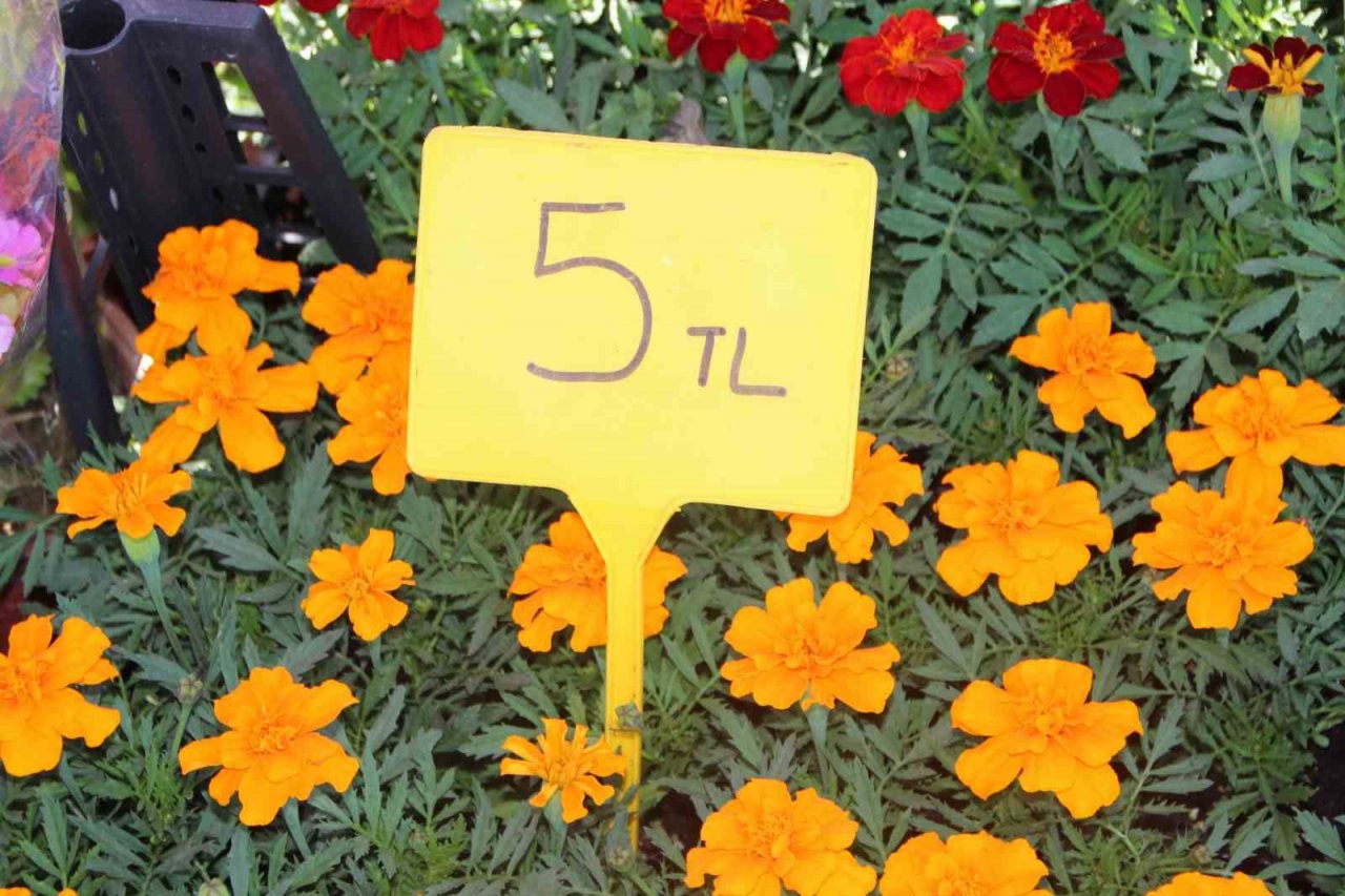 Rengarenk çiçekler pazar tezgahlarını süsledi