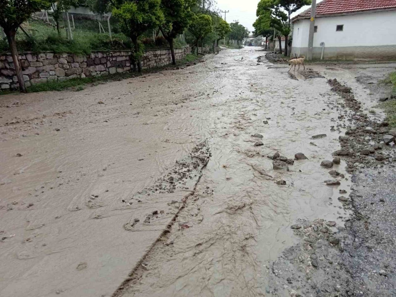 Ankara’da sel hayatı durma noktasına getirdi