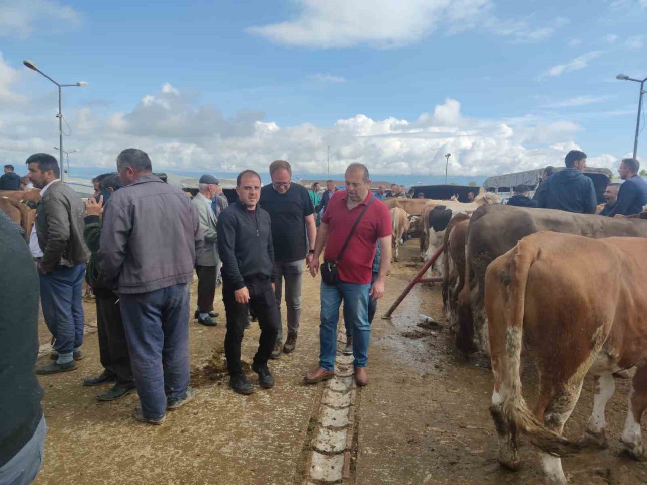 Kurban Bayramı öncesinde hayvan pazarında denetim