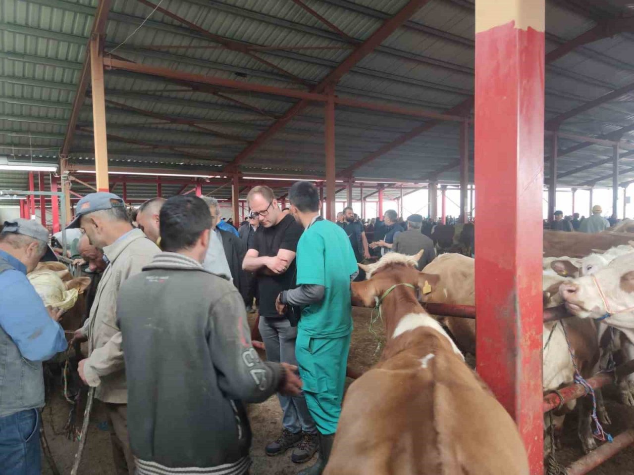 Kurban Bayramı öncesinde hayvan pazarında denetim