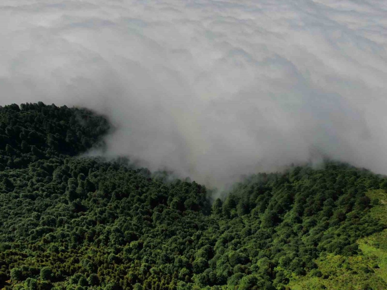 Trabzon’un yaylalarından eşsiz bulut denizi manzaraları
