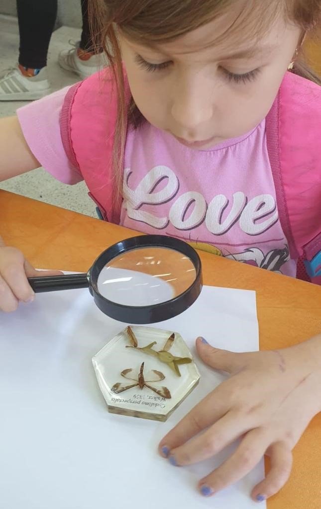 BARÜ’nün çocuklara ‘böcekleri sevdiren’ projesi renkli görüntülere sahne oldu