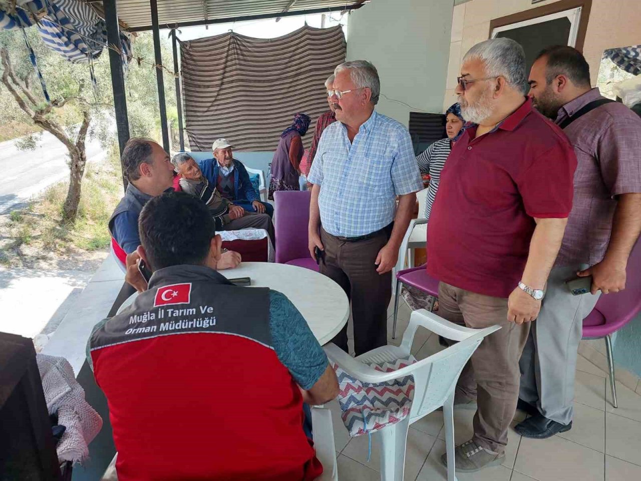 Yıldırım düşmesi sonucu 10 koyun telef oldu