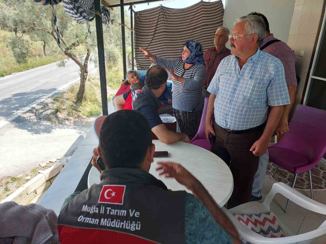 Yıldırım düşmesi sonucu 10 koyun telef oldu