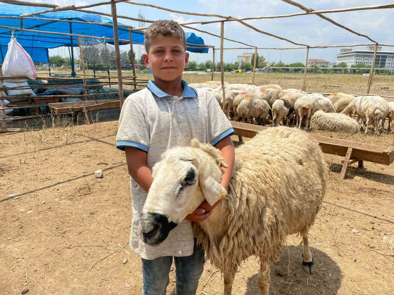Adana’da kurban pazarları kurulmaya başladı, satıcılar dikkat edilmesi gerekenleri anlattı