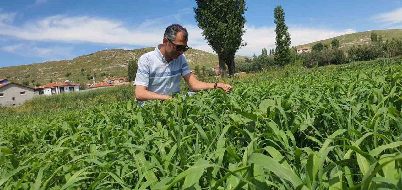 Çayır mera kontrolleri devam ediyor