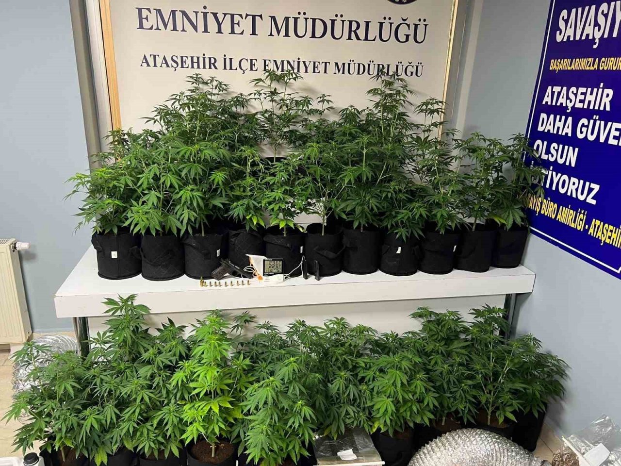 Ataşehir’de uyuşturucu serasına çevrilen eve polis operasyonu