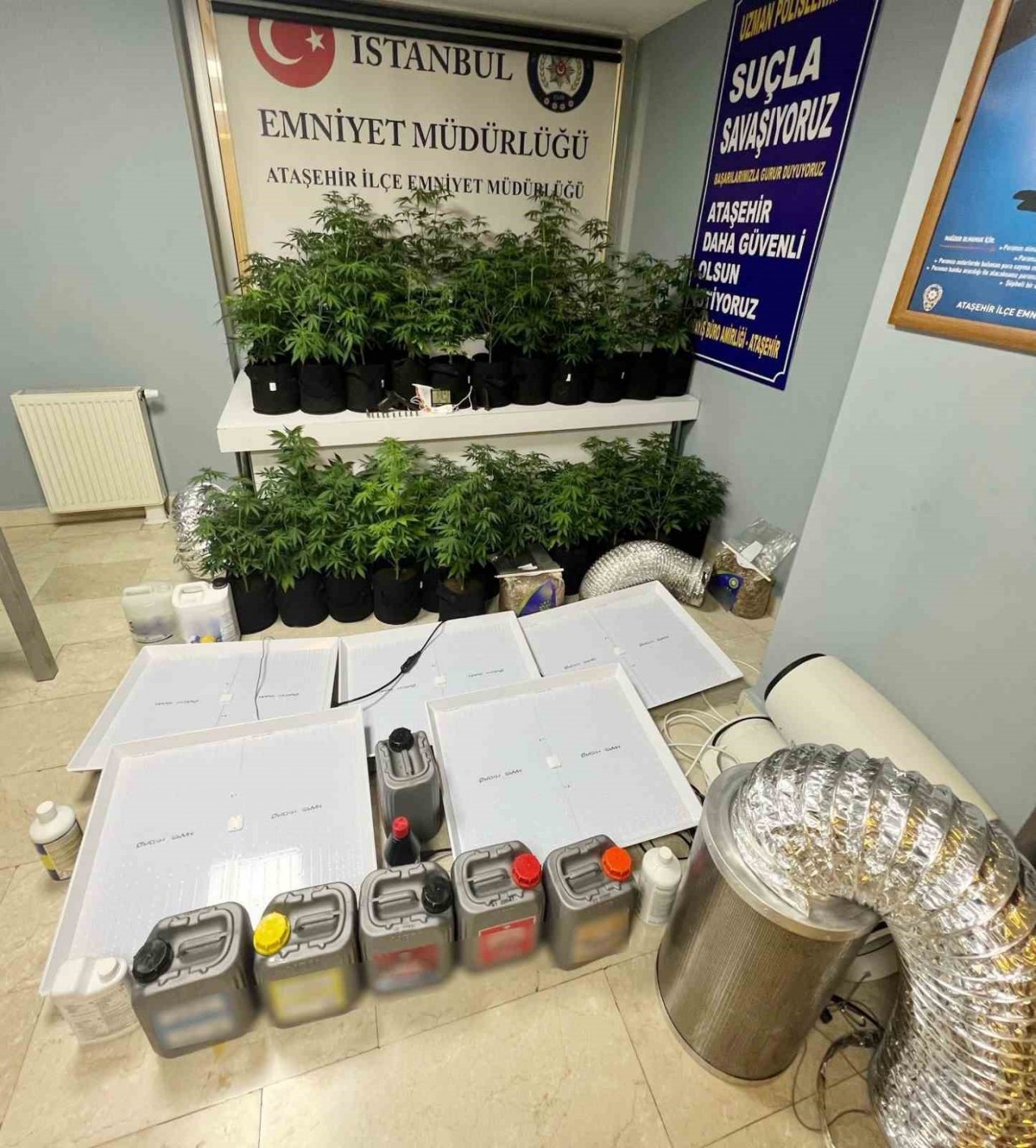 Ataşehir’de uyuşturucu serasına çevrilen eve polis operasyonu