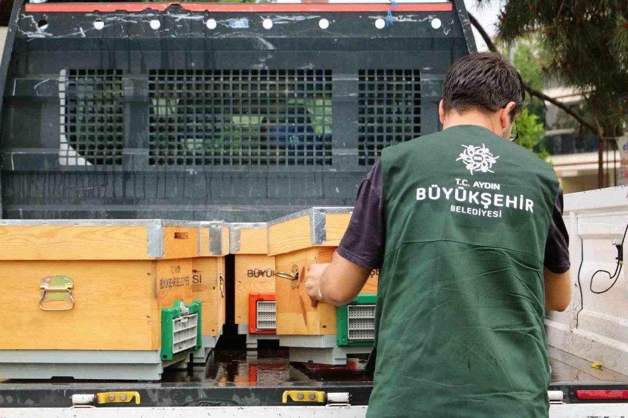 Aydın Büyükşehir Belediyesi’nden kadın arıcılara kovan desteği