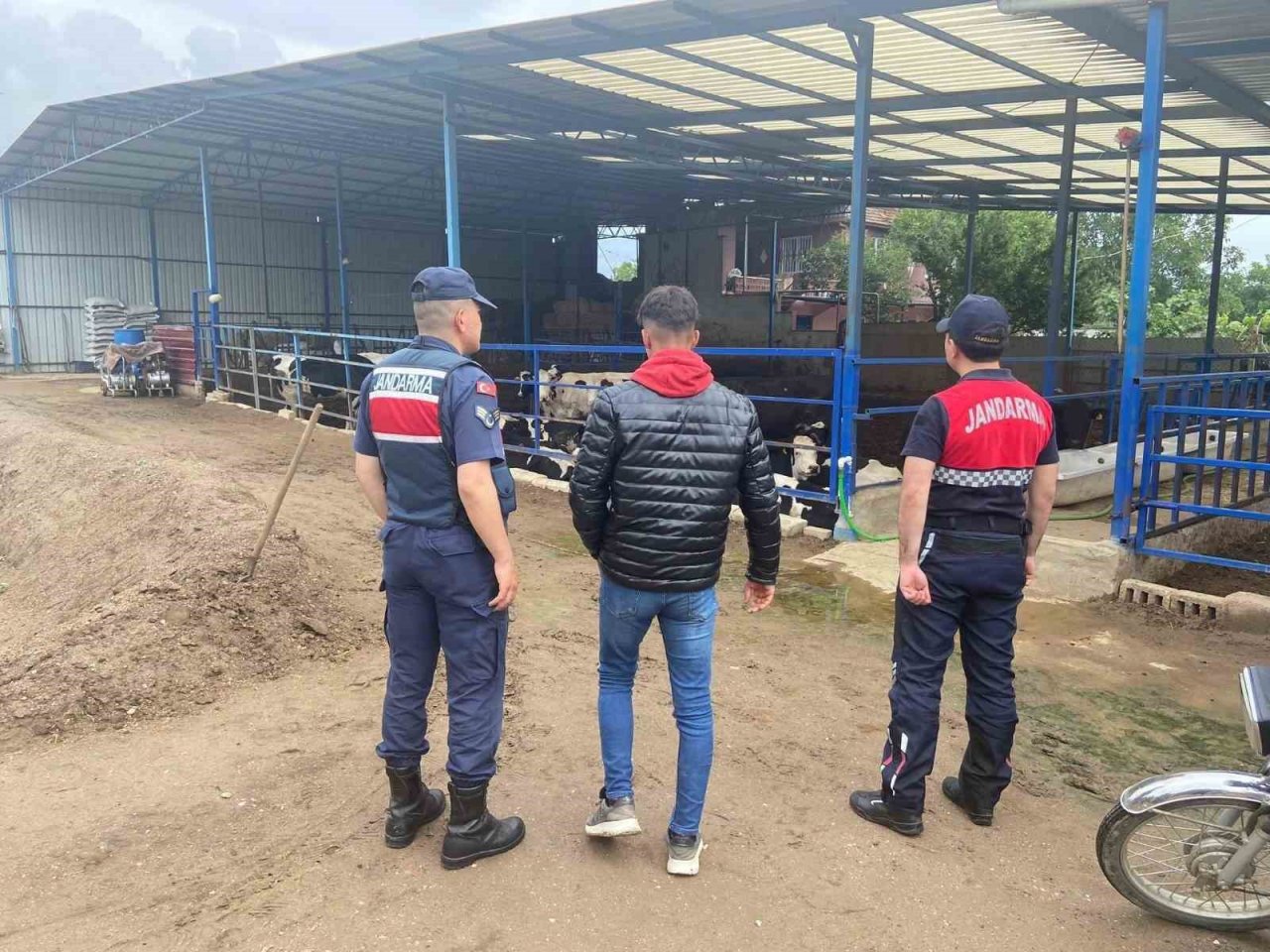 Jandarma hayvan hırsızlığı ve dolandırıcılığına karşı bilgilendirdi