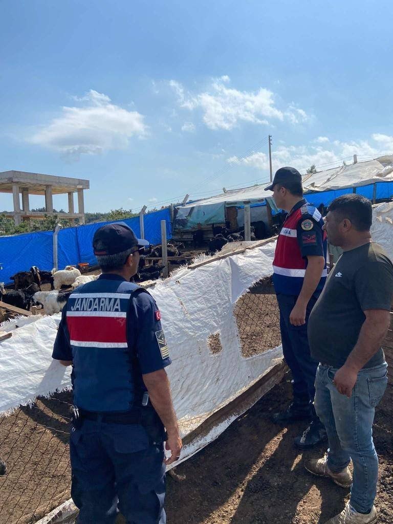 Jandarma hayvan hırsızlığı ve dolandırıcılığına karşı bilgilendirdi