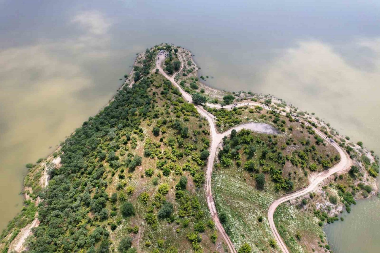 Yağmurlarla dolan barajlar umut verdi