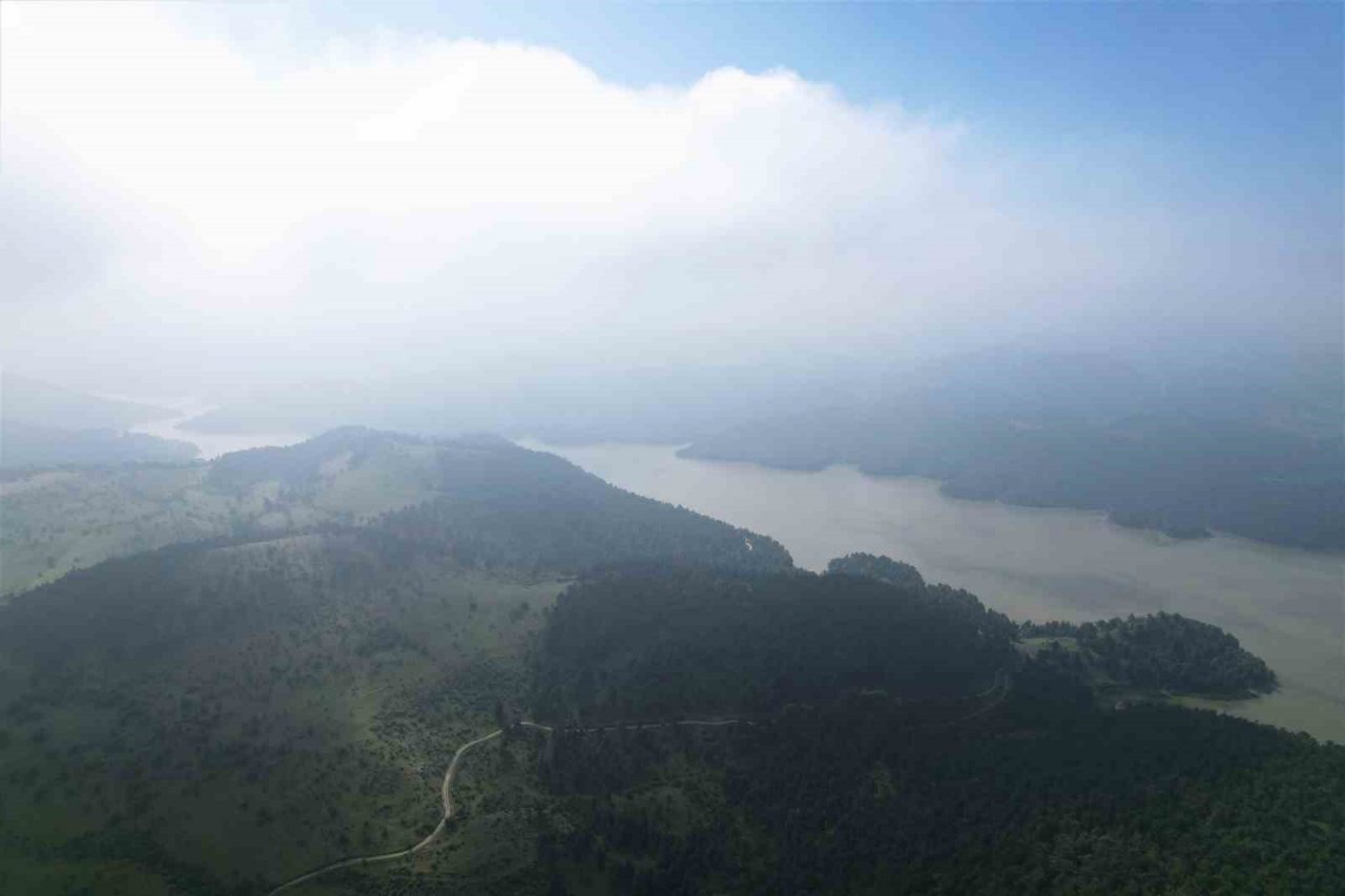 Yağmurlarla dolan barajlar umut verdi