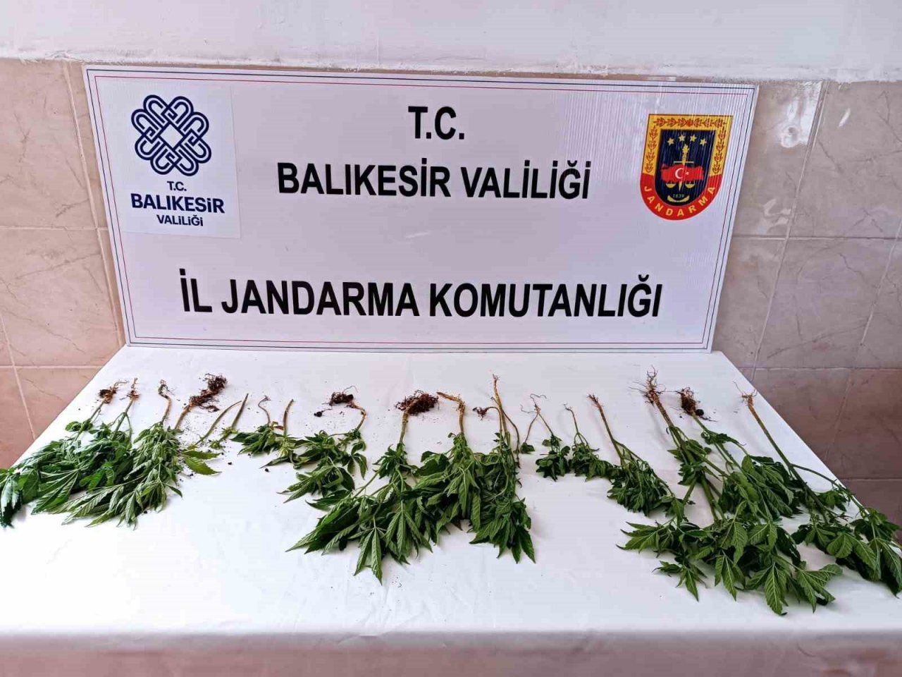 Balıkesir’de uyuşturucu operasyonunda iki kişi yakalandı