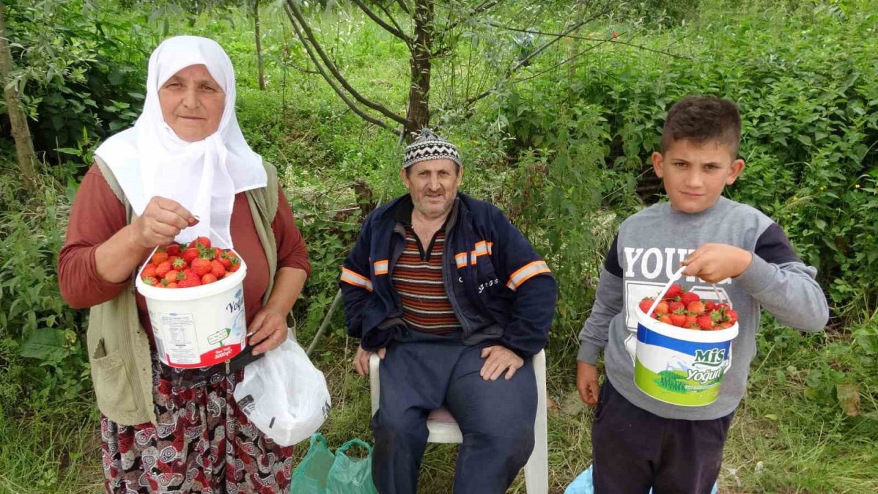 Demirciören çileği tezgahlarda