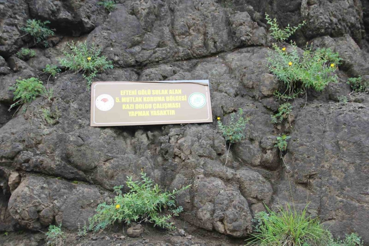 Koparmanın cezası 244 TL