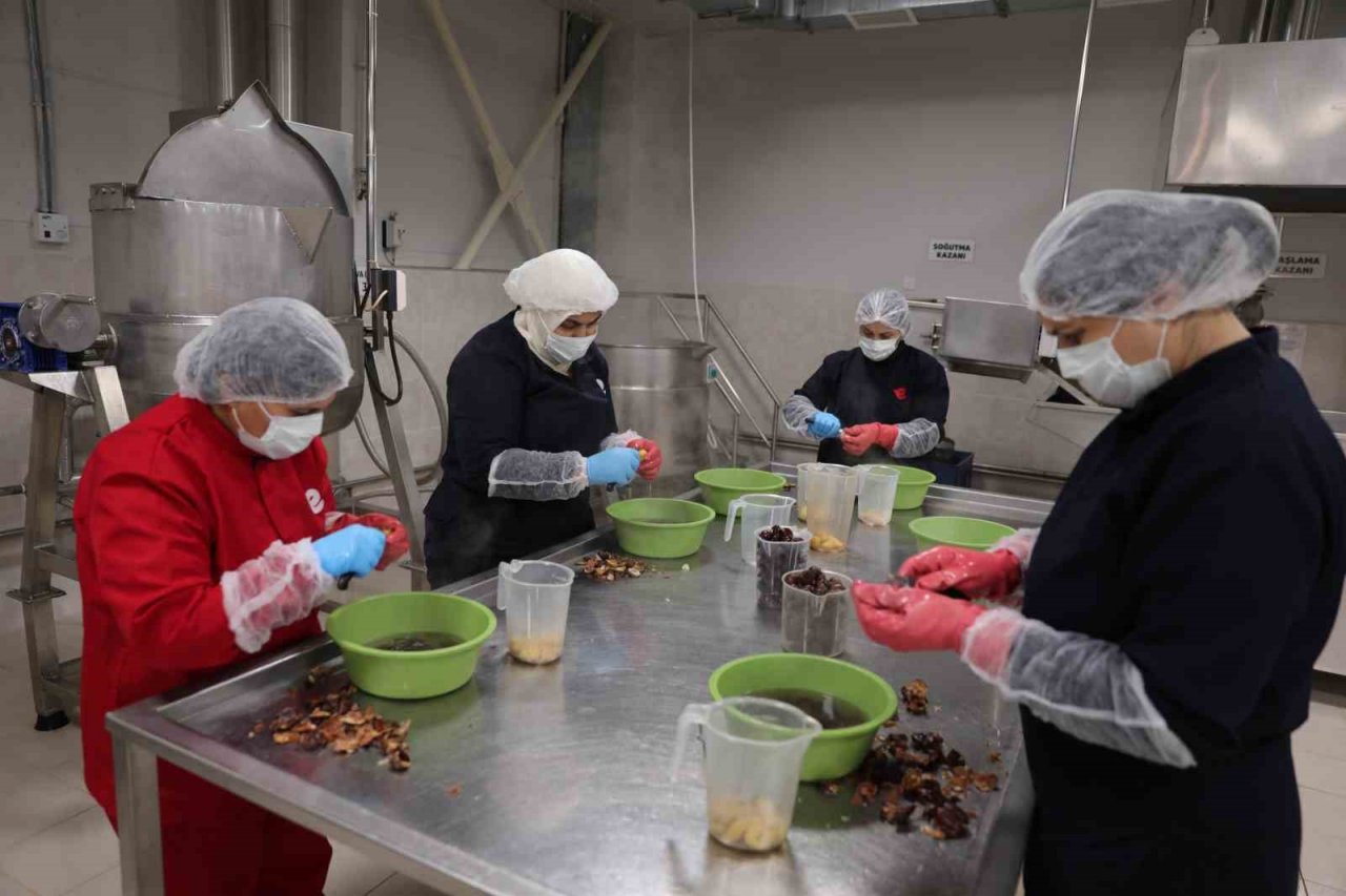 Efeler’in Tarımsal Ürün Fabrikası Türkiye’ye örnek oluyor