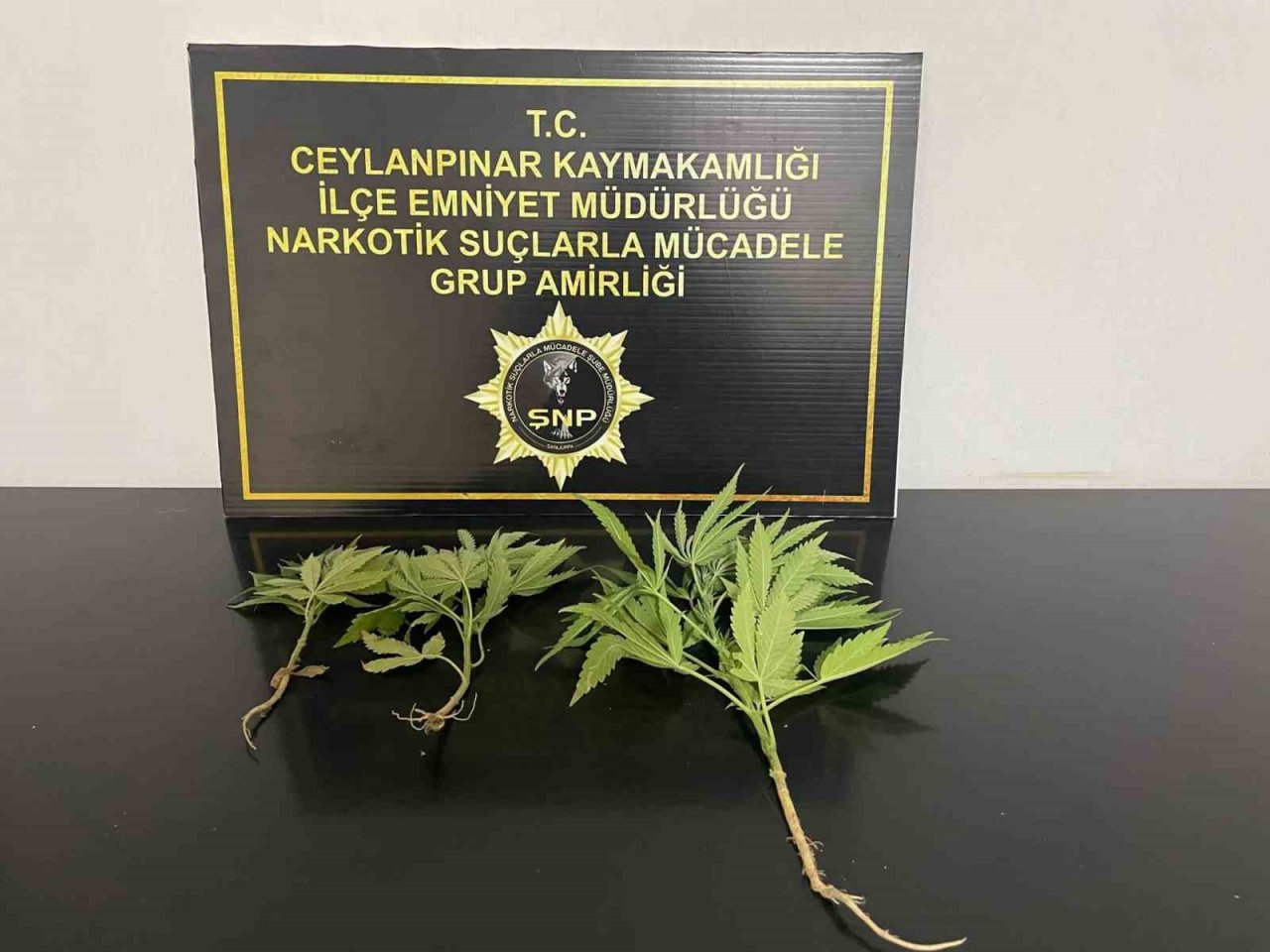 Şanlıurfa’da uyuşturucu satıcılarına operasyon: 3 gözaltı