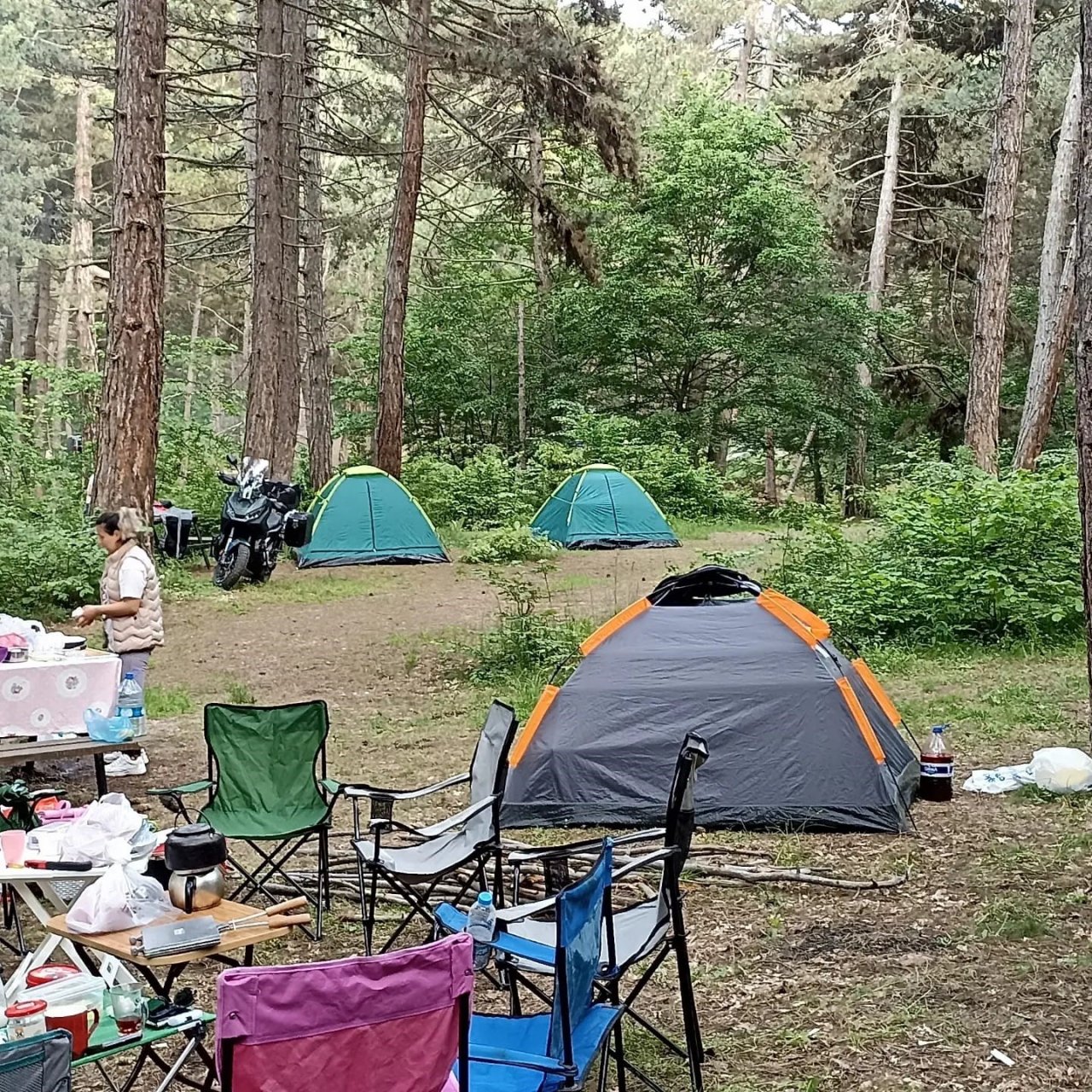 Mantar için 7 kilometre yürüdüler