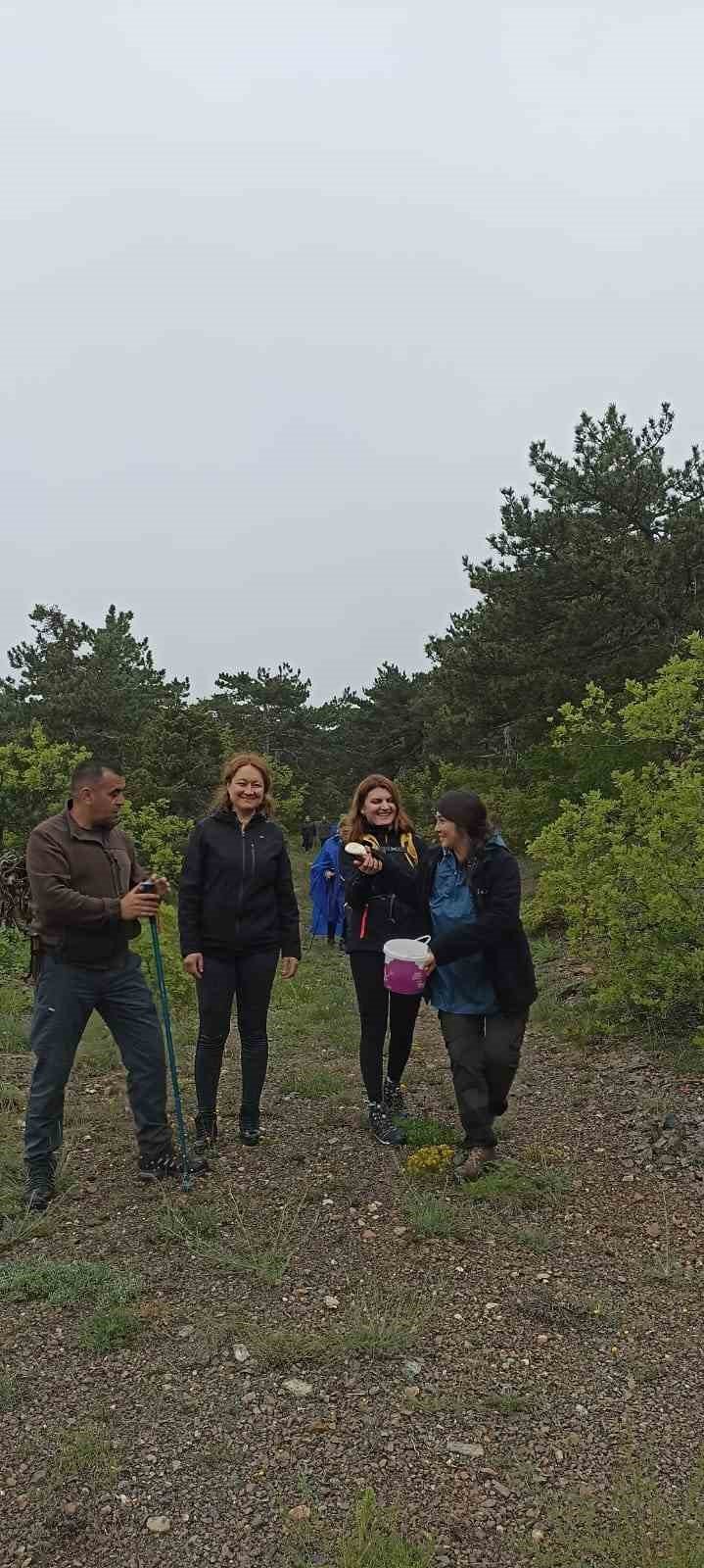 Mantar için 7 kilometre yürüdüler