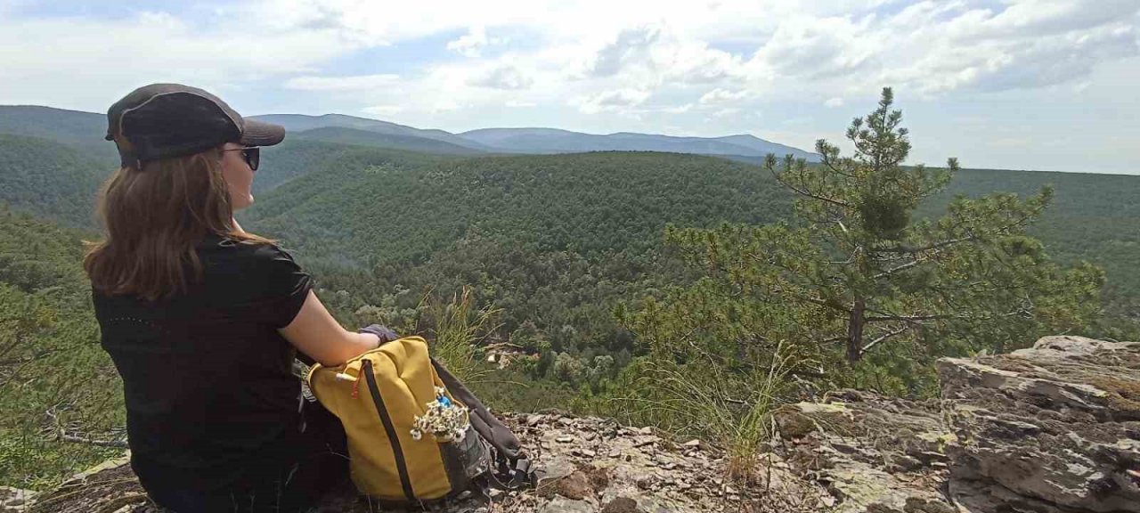 Mantar için 7 kilometre yürüdüler