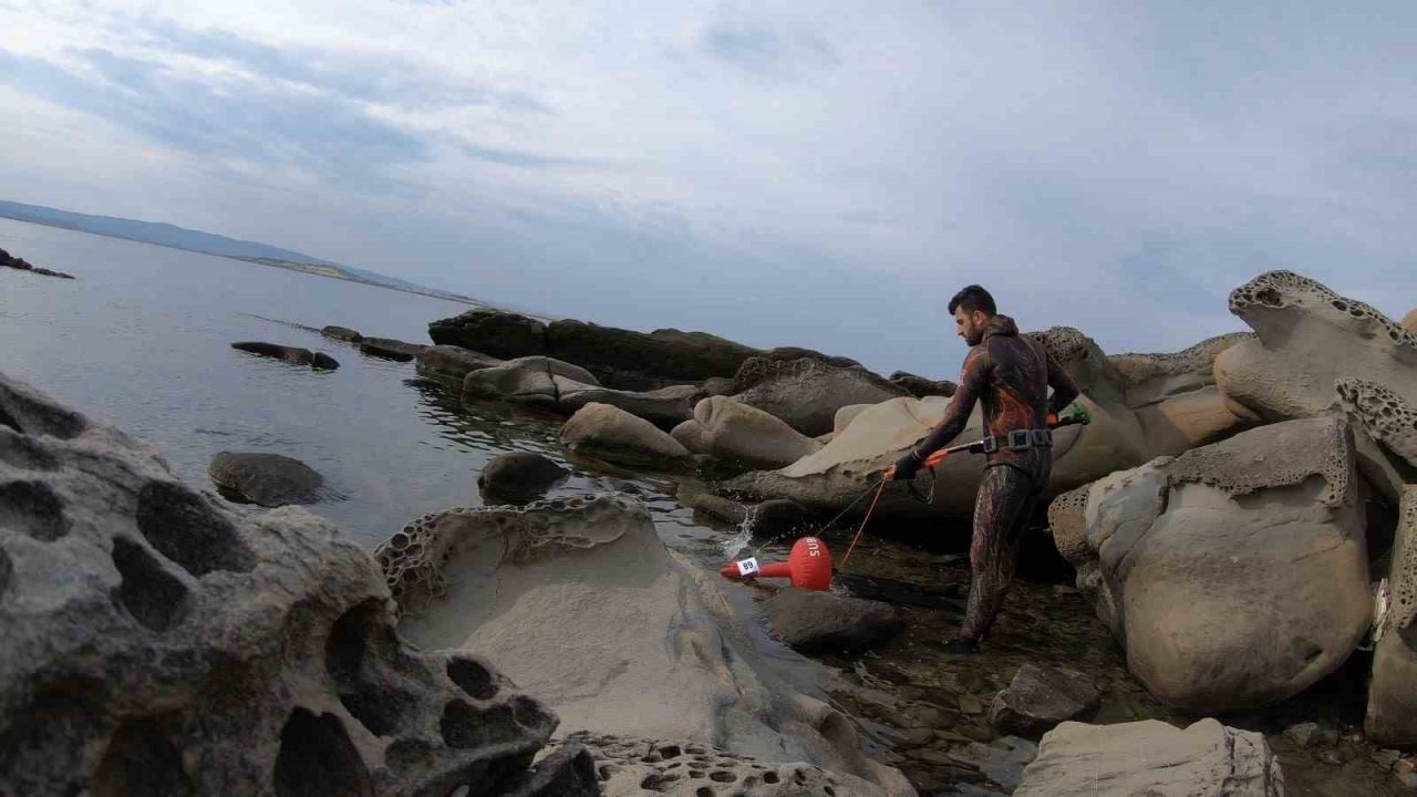 İstanbul’da 4 metrelik zehirli denizanası böyle görüntülendi