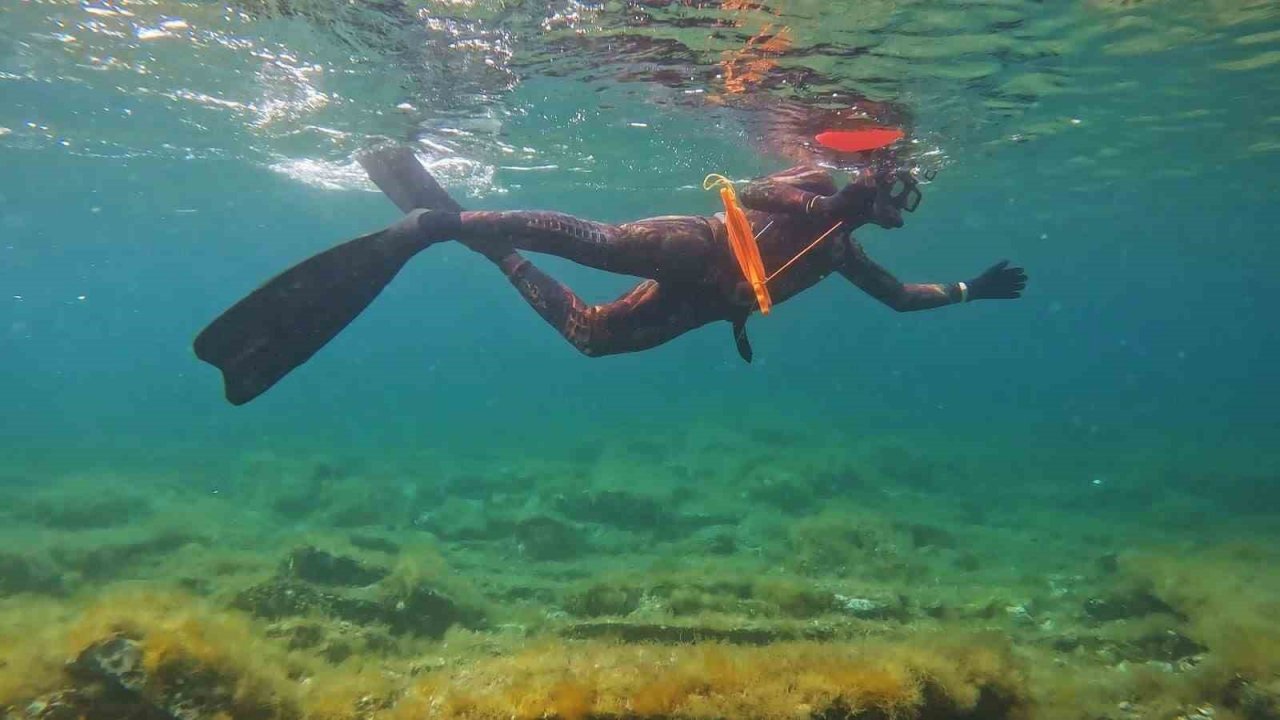 İstanbul’da 4 metrelik zehirli denizanası böyle görüntülendi