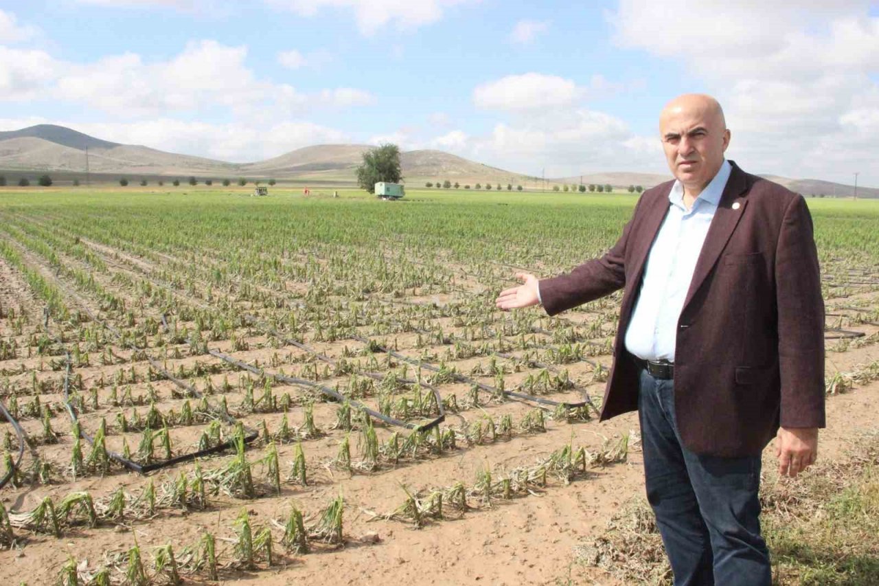 Karaman’da dolu ekili arazilere zarar verdi, tarlalar kış mevsimi gibi beyaza büründü