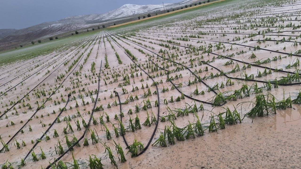 Karaman’da dolu ekili arazilere zarar verdi, tarlalar kış mevsimi gibi beyaza büründü