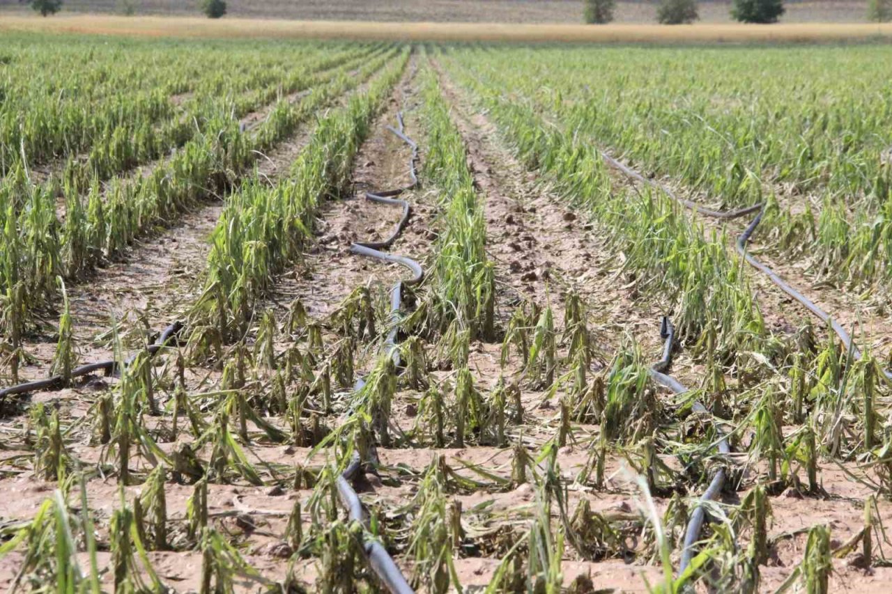 Karaman’da dolu ekili arazilere zarar verdi, tarlalar kış mevsimi gibi beyaza büründü