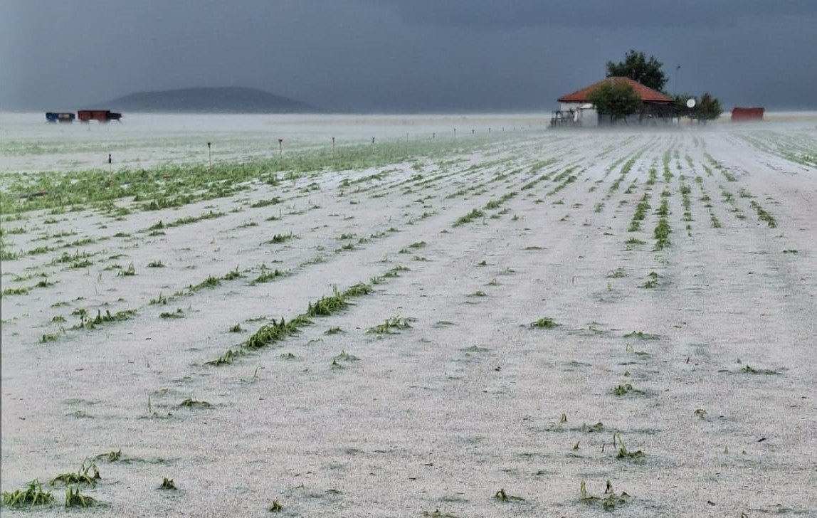 Karaman’da dolu ekili arazilere zarar verdi, tarlalar kış mevsimi gibi beyaza büründü