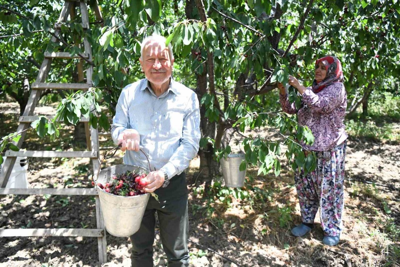 Kiraz yarışmasının ödülleri belli oldu