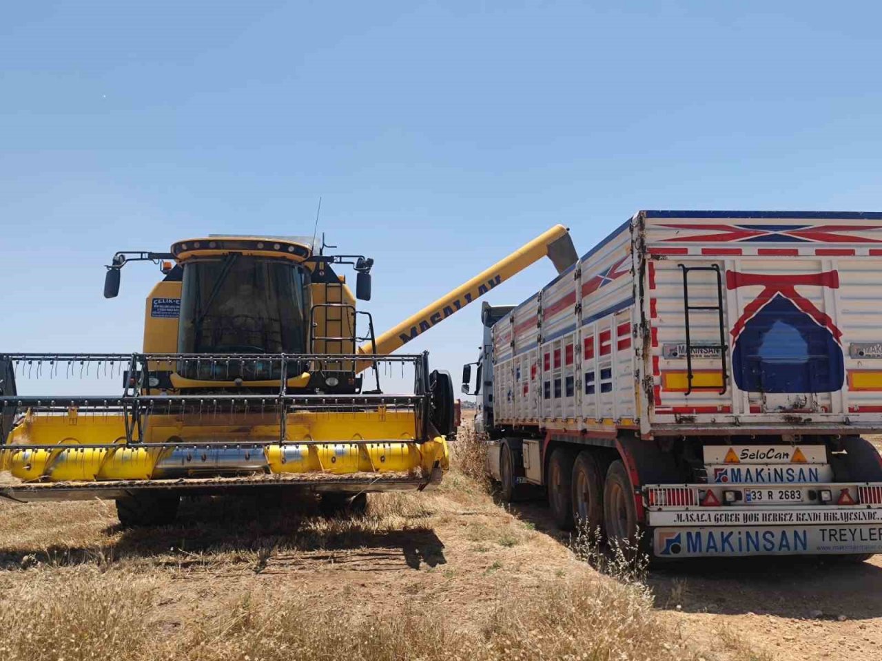 Mardin’de buğday tarlalarında hasat mesaisi başladı