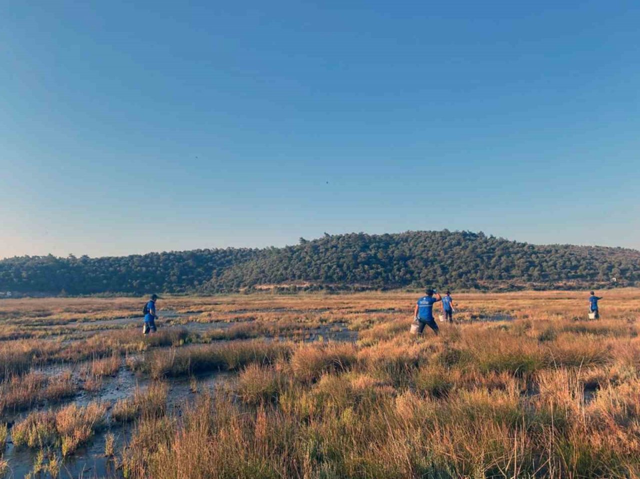 Büyükşehir ekiplerinden yağmurlar sonrası vektörle mücadele