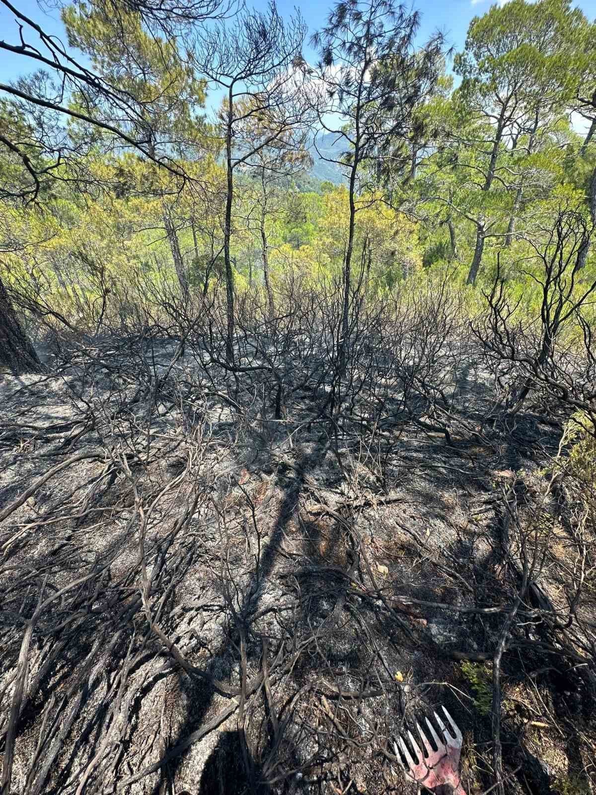 Fethiye’de çıkan orman yangını söndürüldü