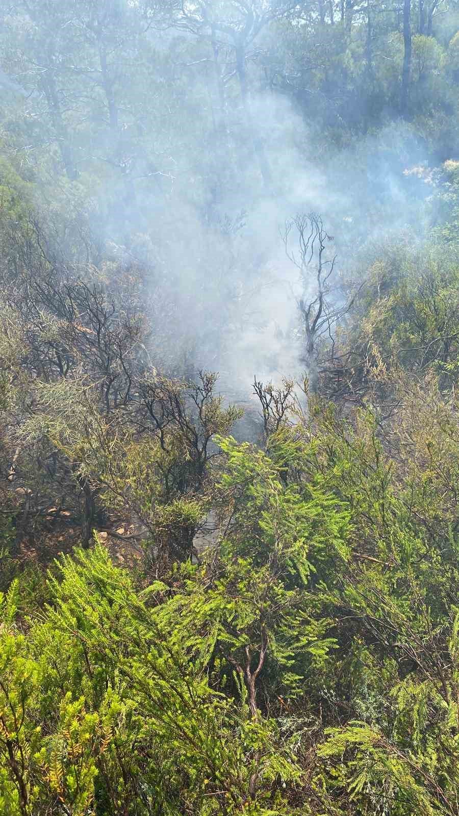 Fethiye’de çıkan orman yangını söndürüldü