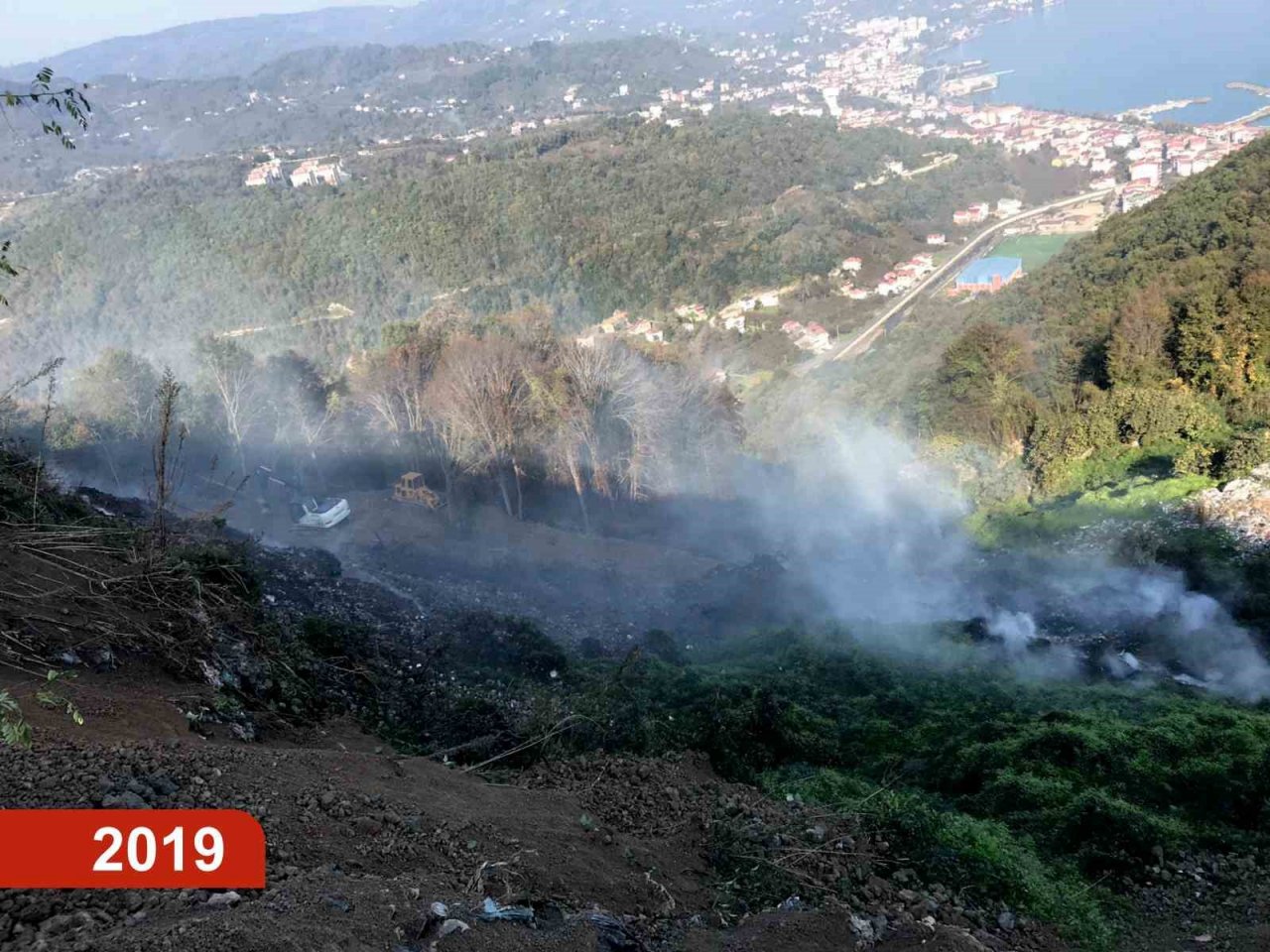 Çöp dağından yeşil ormana