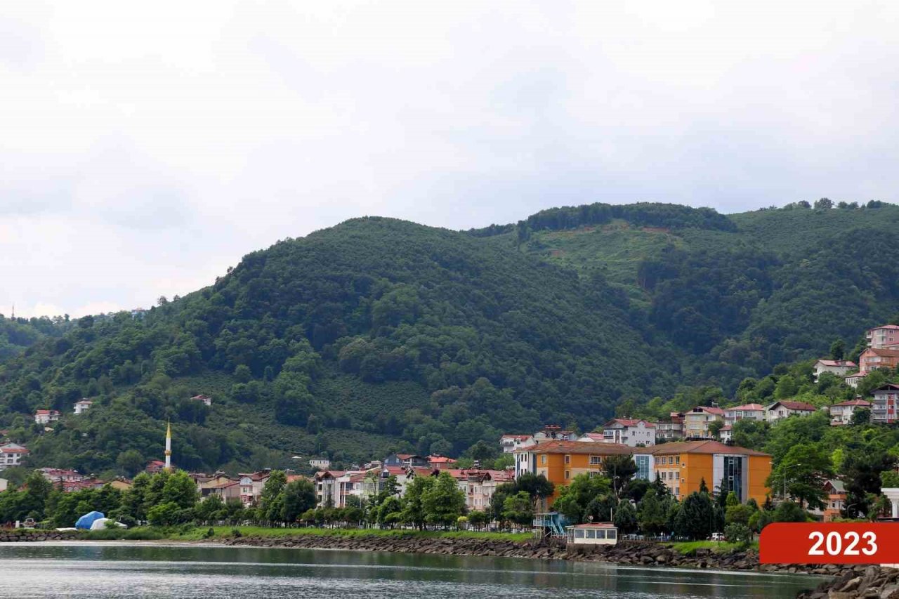 Çöp dağından yeşil ormana