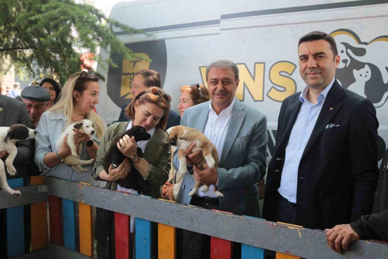 Bu şenlikte herkes acısını unuttu