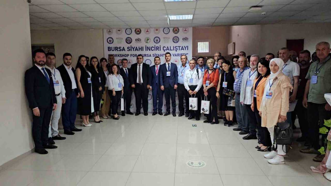 Taze incirde erkenciliği ile Buharkent rakip tanımıyor