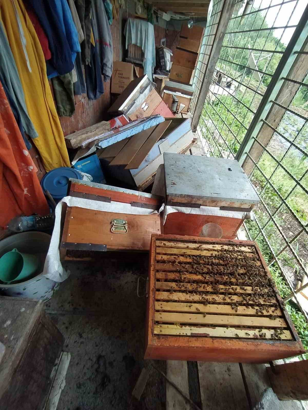 Tüm tedbirler ayıyı durdurmadı, kovanları parçalayan ayı geride pençe izlerini bıraktı