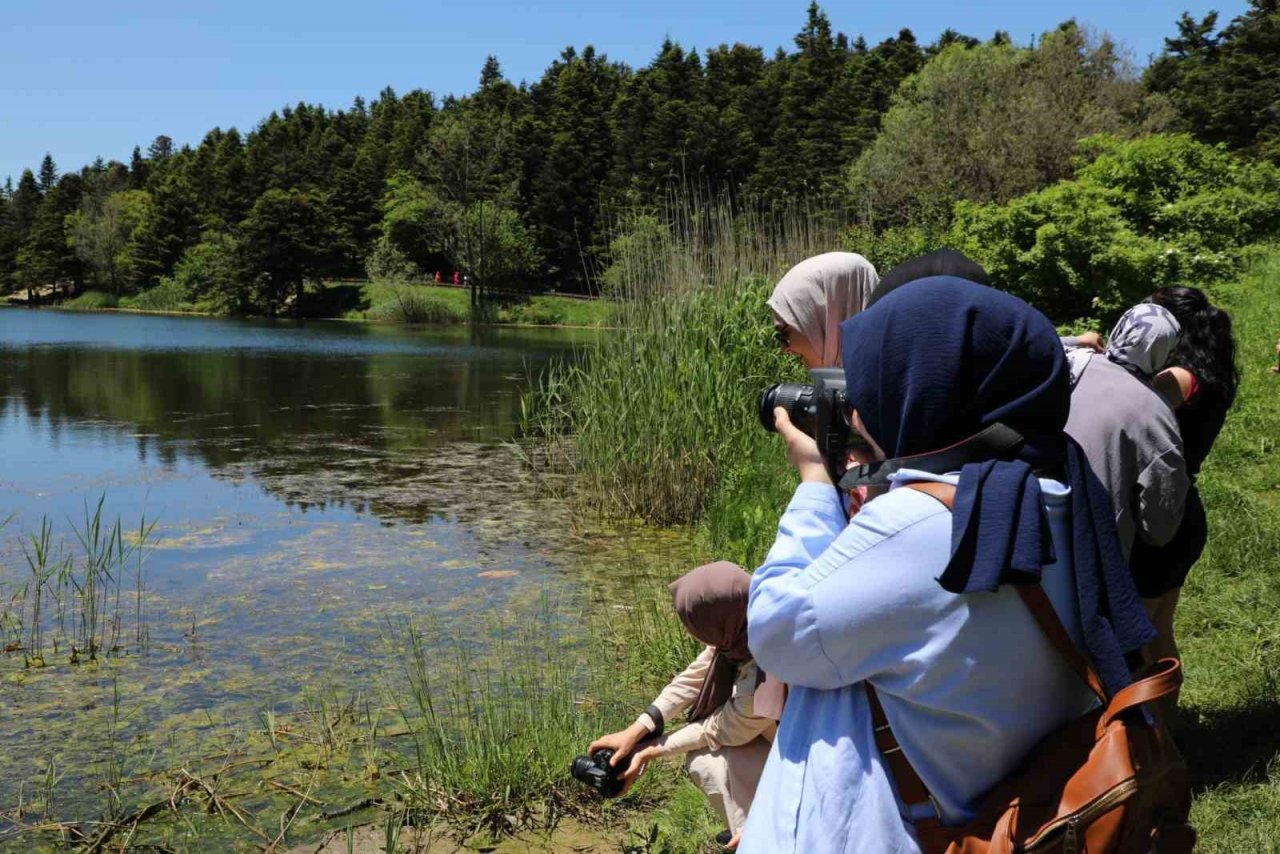 Fotoğraf meraklıları soluğu doğada aldı
