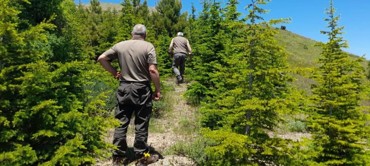 Elazığ’da kaçak avcılığın önlenmesi için denetimler sürüyor