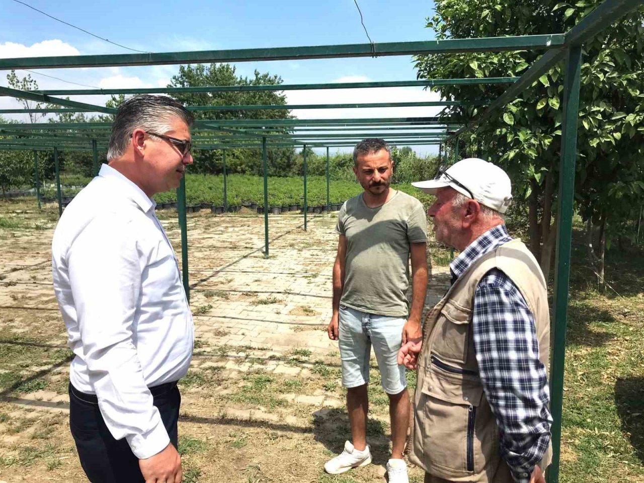 Stevia bitkisi, başta Amerika Birleşik Devletleri başta olmak üzere ihraç edilmeye başlandı