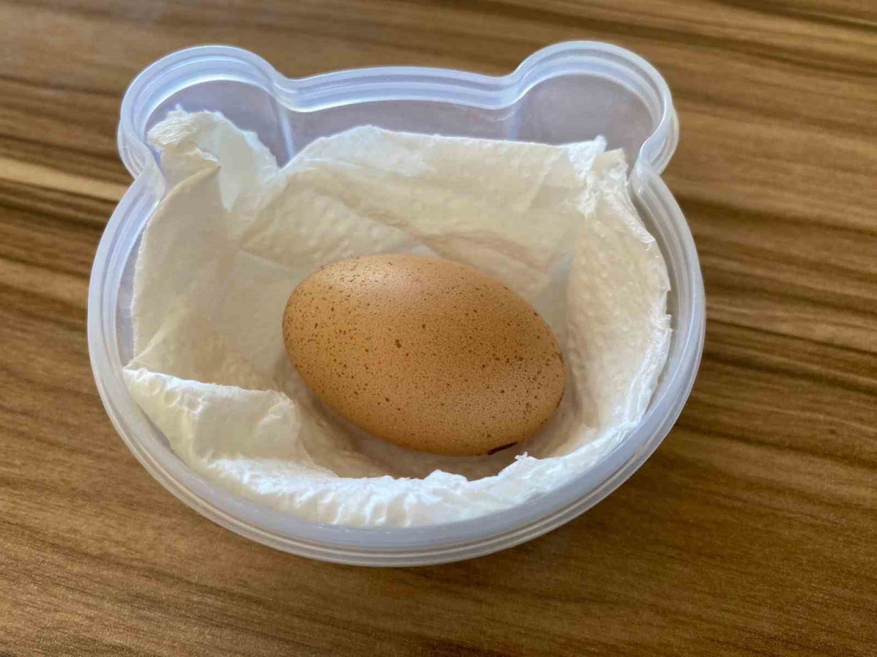 Elazığ’da tavuğun yaptığı mini yumurta şaşırttı