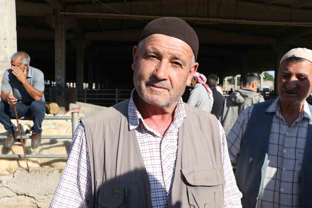 Hayvan pazarında hareketlilik başladı